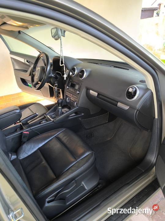 Audi A3 8P pomorskie Sierakowice