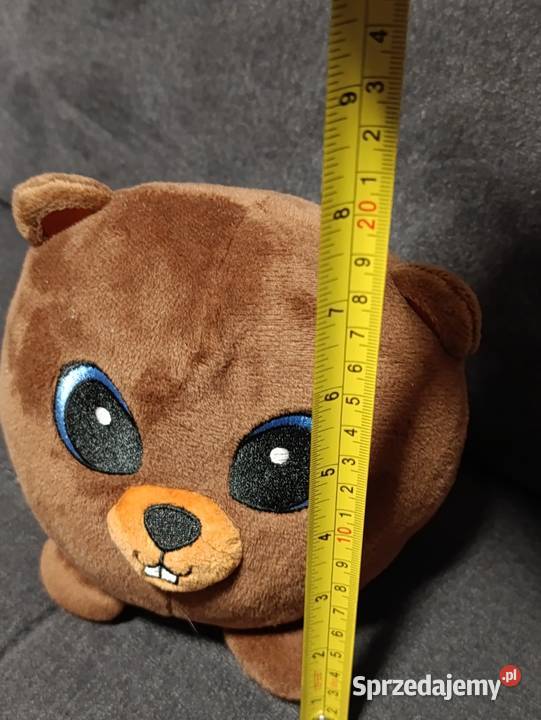 pluszowa maskotka Bóbr Borys z akcji Poznań