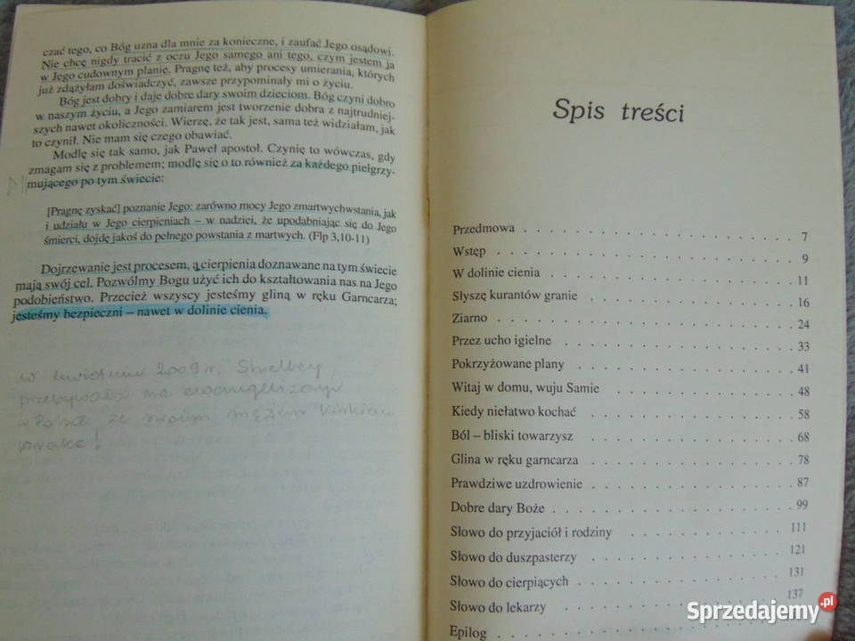 W dolinie cienia Shelley Chapin miękka Lublin sprzedam