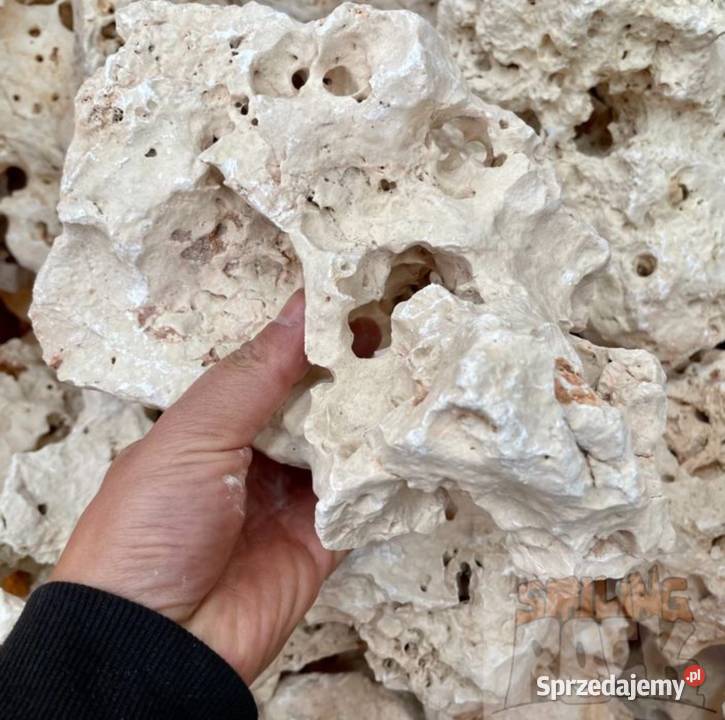 WAPIEŃ FILIPIŃSKI Biała Skała do Akwarium Malawi Akwarystyka