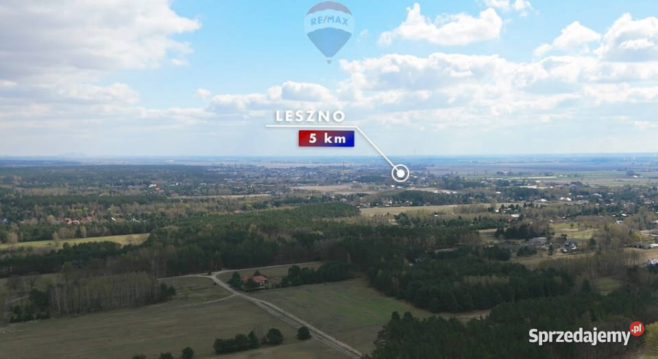 Działki budowlane zbuduj dom w lesie Sprzedaż Powązki