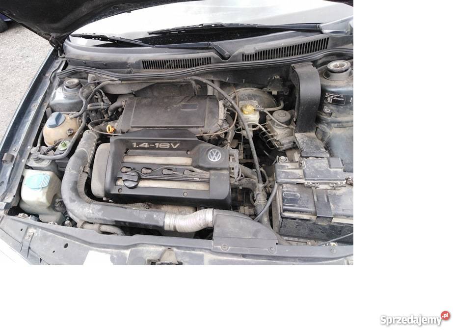 Volkswagena Golfa 4 rok produkcji 98 silnik 1.4 benzyna 3900 Chełm
