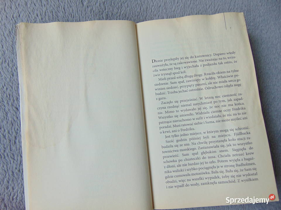 Latarnik Camilla Lackberg miękka