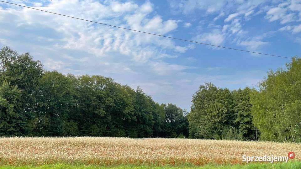 Działka budowlana 89 arów Kozy Sprzedaż