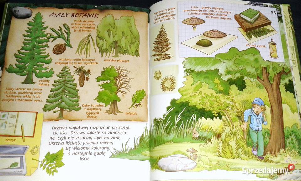 Dziennik przygód chłopaków Opracowanie zbiorowe