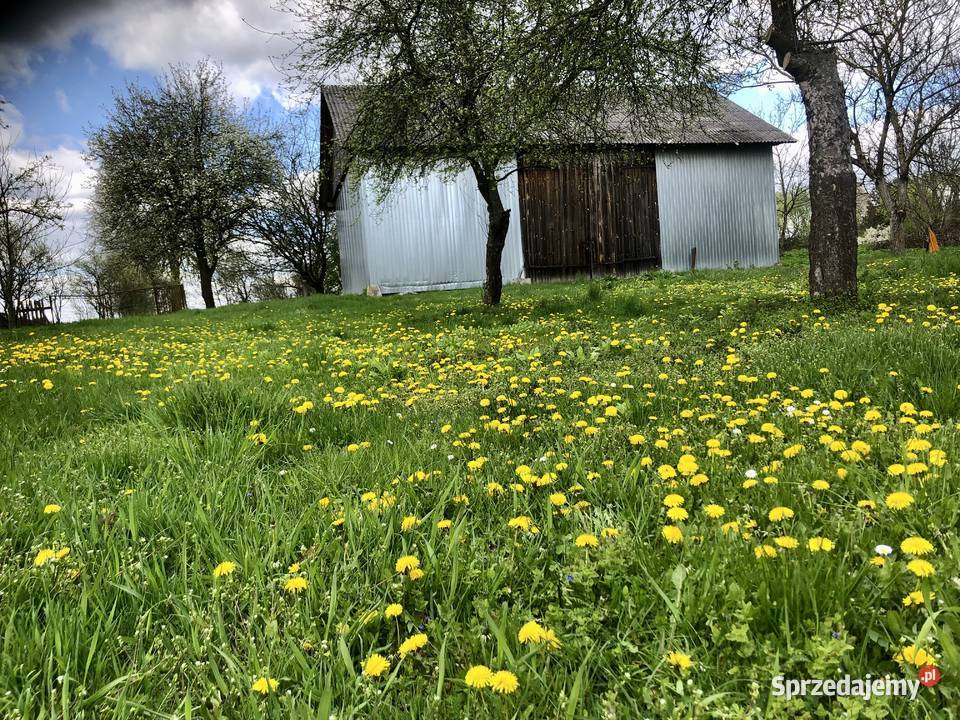 Agroturystykastadnina koni 561 ha z lasem Łówcza