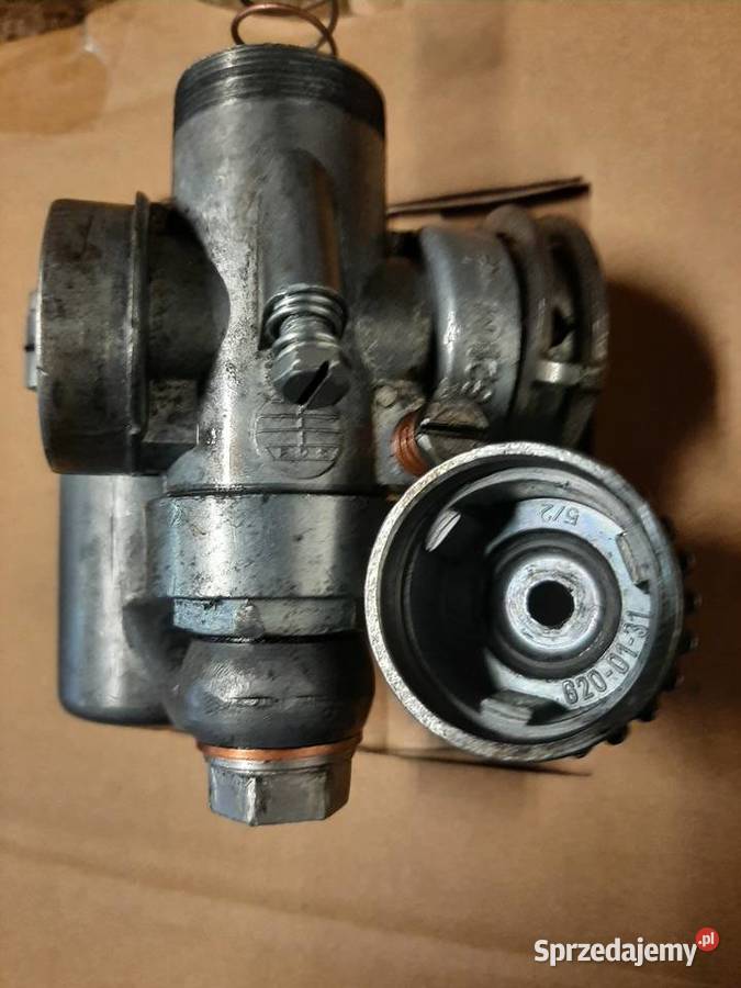 Glebogryzarka mrowka dolnośląskie Bolków