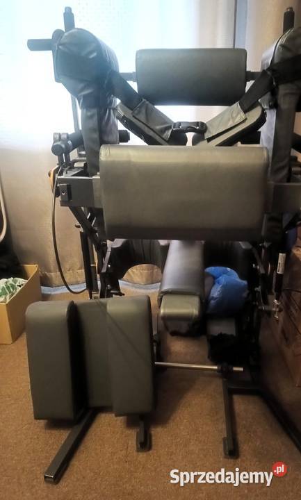 Pionizator Active Plus ALREH Koszalin