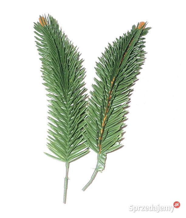 Gałązka jodły na drucie 6 choinka z szyszką 25 Dom i Ogród Siewierz sprzedam