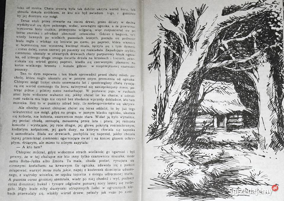 Madejowe łoże Część 1 i 2 Walery Przyborowski Chełm sprzedam