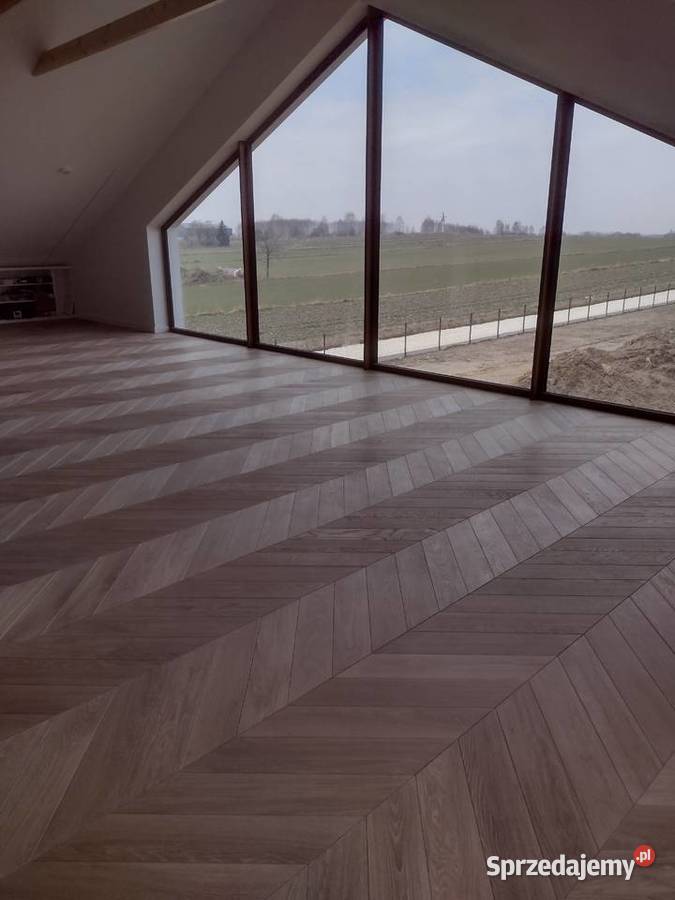 Jodła francuska Lublin