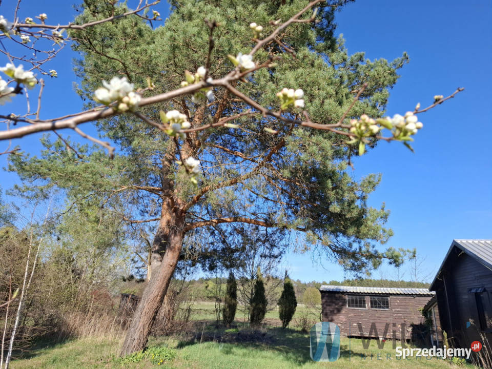 sprzedaży działki Nowe Załubice Gen Kazimierza