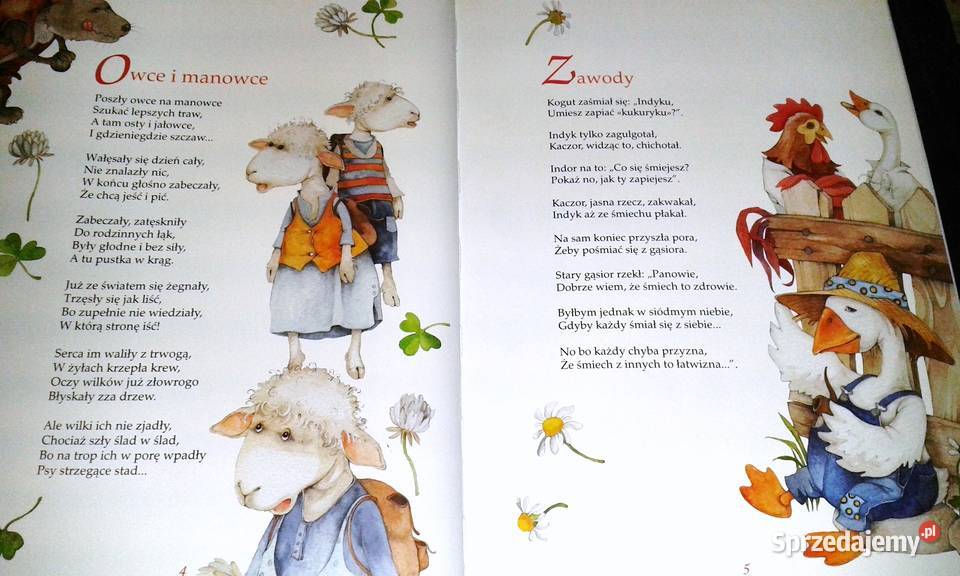 Kotka Trajkotka Zbigniew Dmitroca Chełm