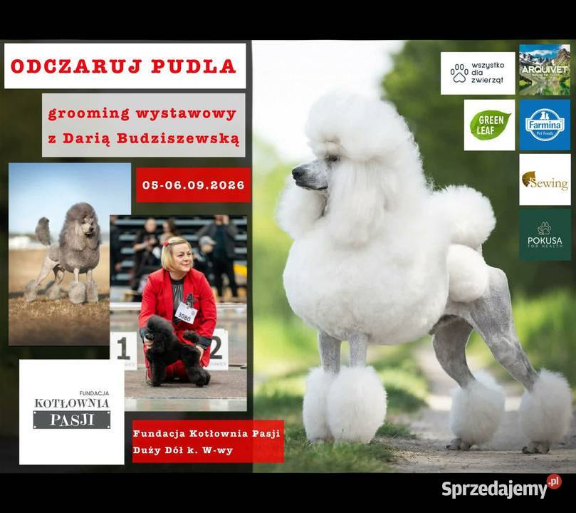 Szkolenia GROOMERÓW Duży Dół