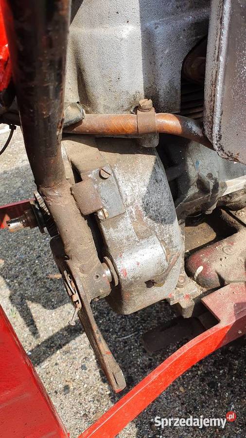 Sprzedam Dzika 21 Ursus 21 Magnuszewice