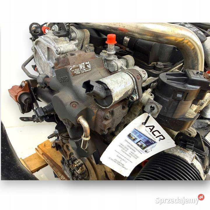 SILNIK G6DB Ford C C Focus MK2 20 TDCI 136 Chełm