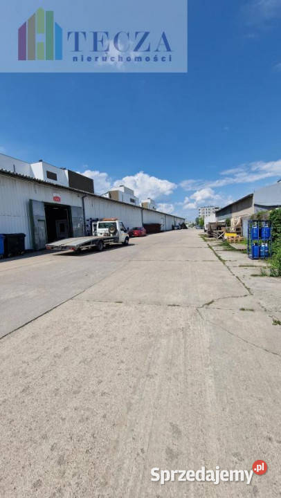 wynajmu lokalu 225m2 Ząbki