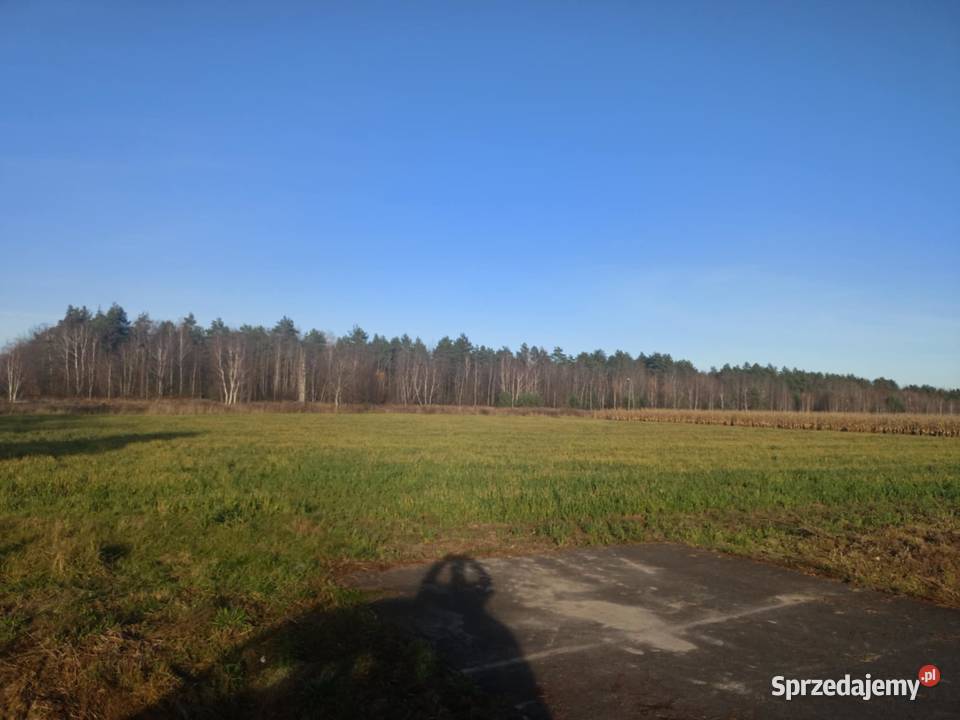 sprzedam las ponad 9 hektara podkarpackie podkarpackie Załuże