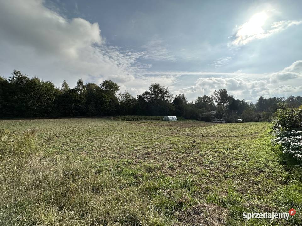 Działka rolnobudowlana Płouszowice Kolonia około Płouszowice-Kolonia