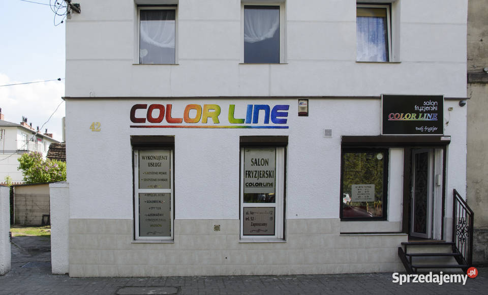 Murale Graffiti Artystyczne malowanie ścian Gdańsk