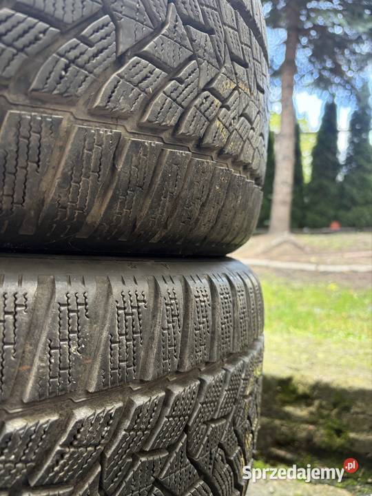 Opony Zimowe Dunlop Winter Sport 5 2454019 Gniezno