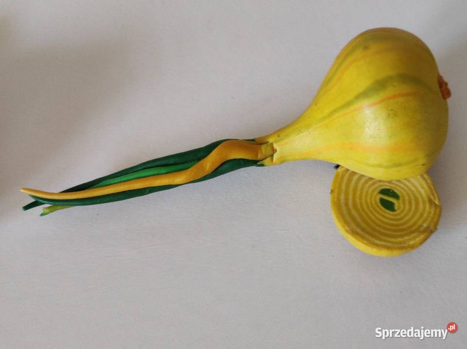 magnesy na lodówkę warzywa świętokrzyskie Kielce