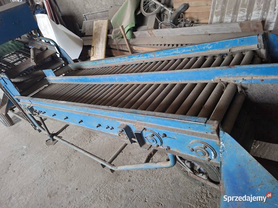 Sortownik do ziemniaków puck Accord Radzyń Podlaski