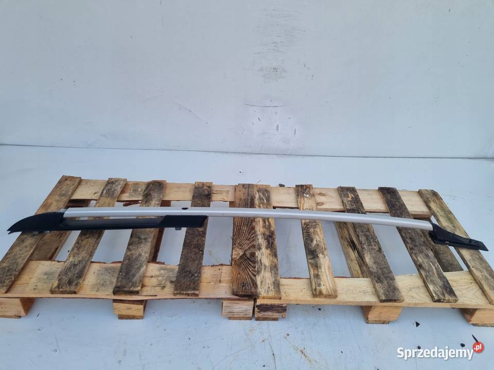 RELINGI DACHOWE Renault Scenic II lift Conquest