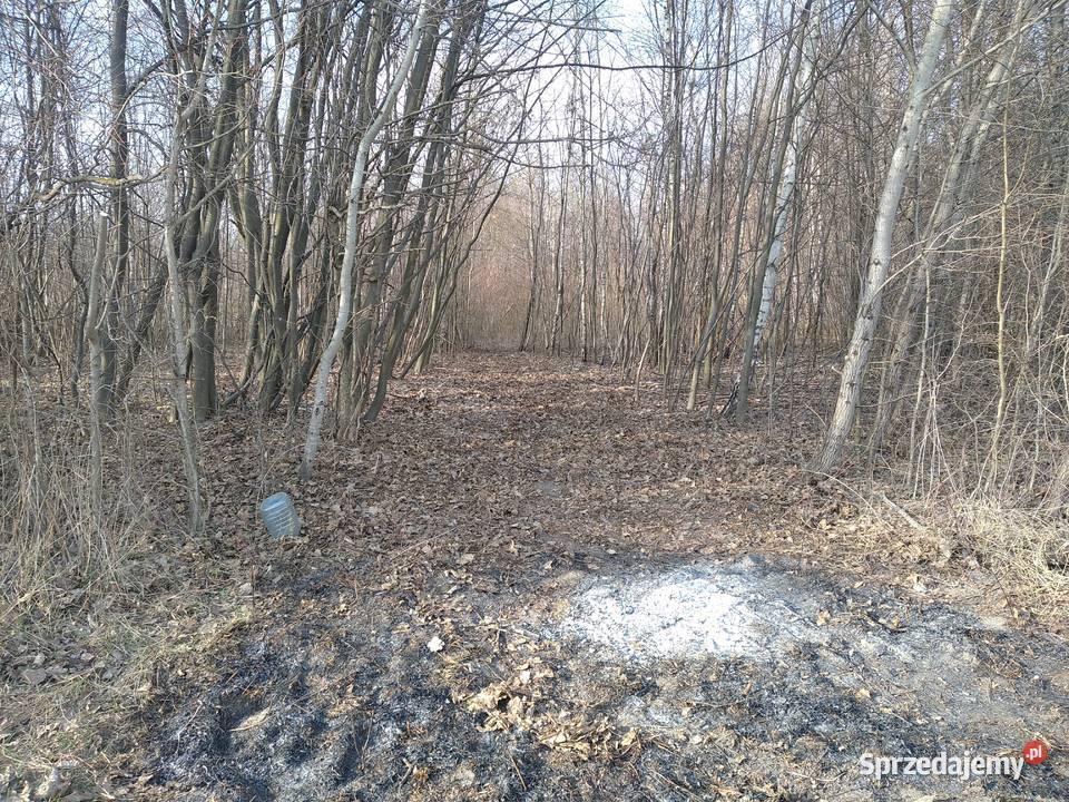 Działka jeziorem Uściwierz