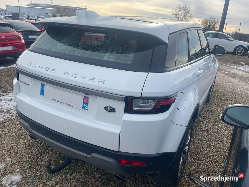 LAND ROVER Range Rover Evoque 20 TD4 150 4WD Kielce