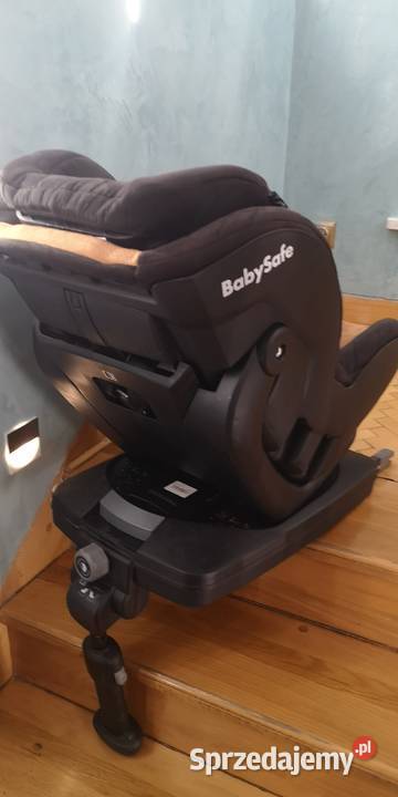 Babysafe Westie lubelskie