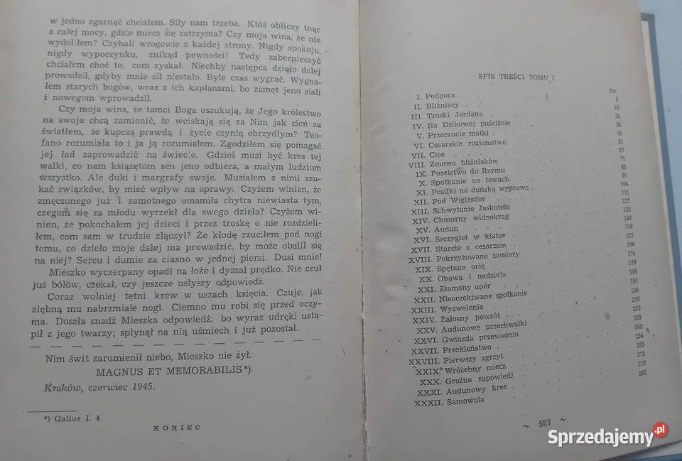 Karol Bunsch Ojcie c i syn 2 tomy w 1 Wydawn Koźminek