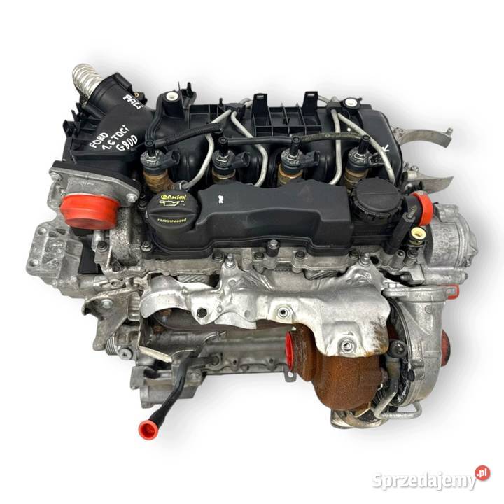 SILNIK KOMPLETNY G8DD Ford Focus II MK2 C C 16 Silniki kompletne Chełm