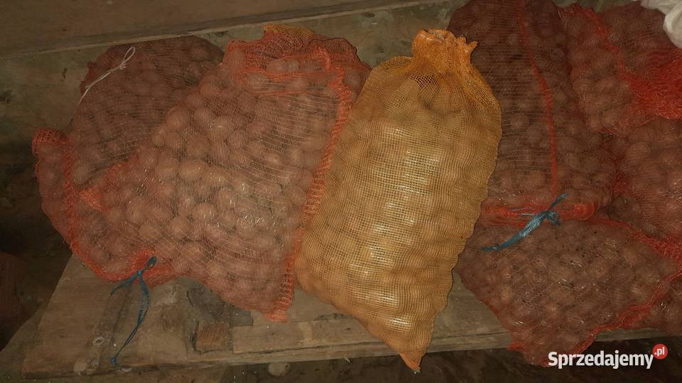 Sprzedam ziemniaki jadalne sadzeniaki paszowe podkarpackie