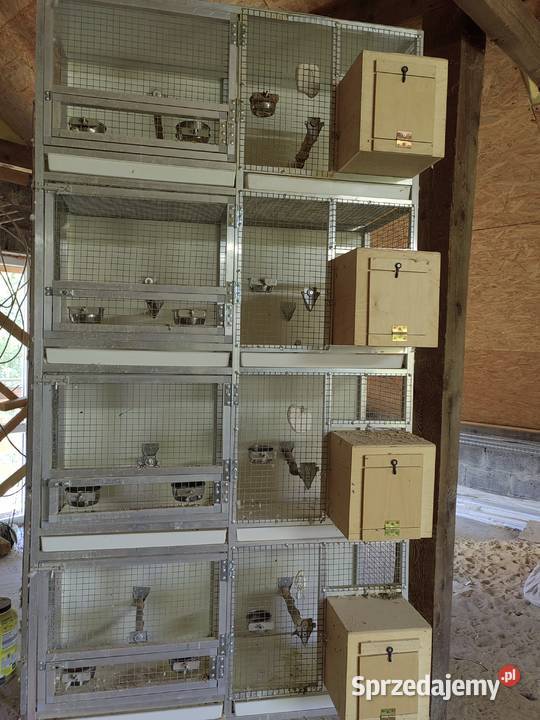 Regały aluminiowe na ptaki małopolskie Siepraw