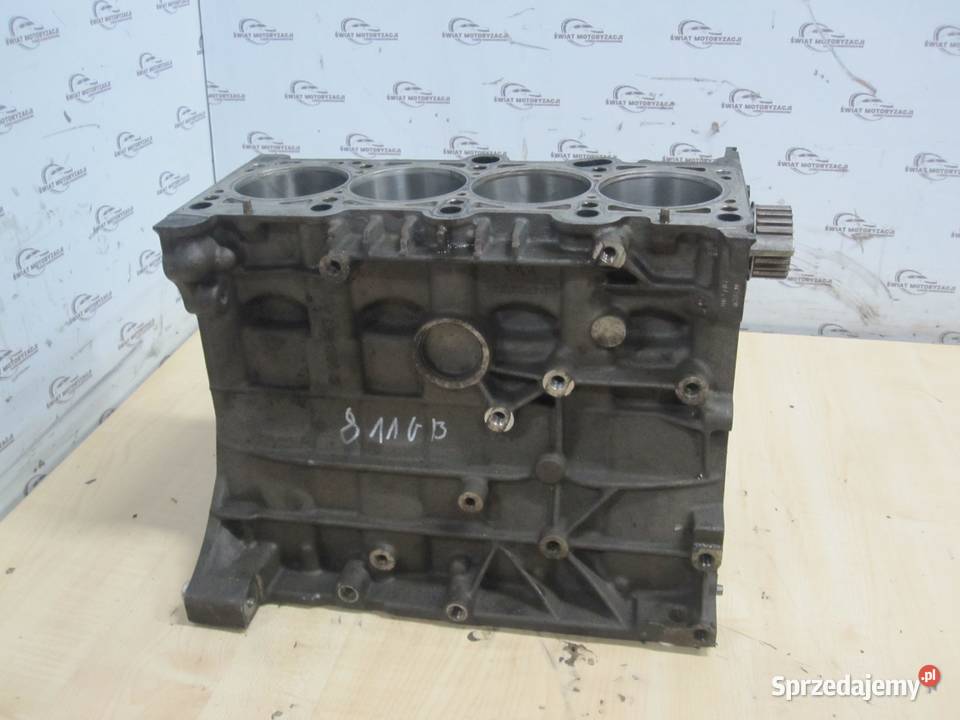 PASSAT B6 OCTAVIA 08r 20 FSI BVY 150 171 blok Blok silnika Kielce
