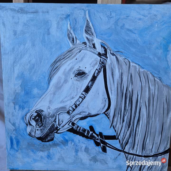 Obraz klacz koń arabski stadnina białka Janów małopolskie Brzesko