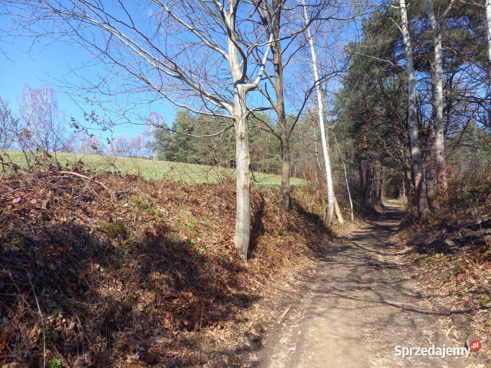 Na sprzedaż działka w Sanoku w dzielnicy Sprzedaż Sanok