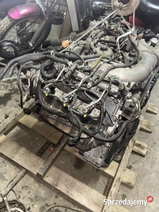 Części Audi A5 30 TDI QUATTRO SLine Pełczyce