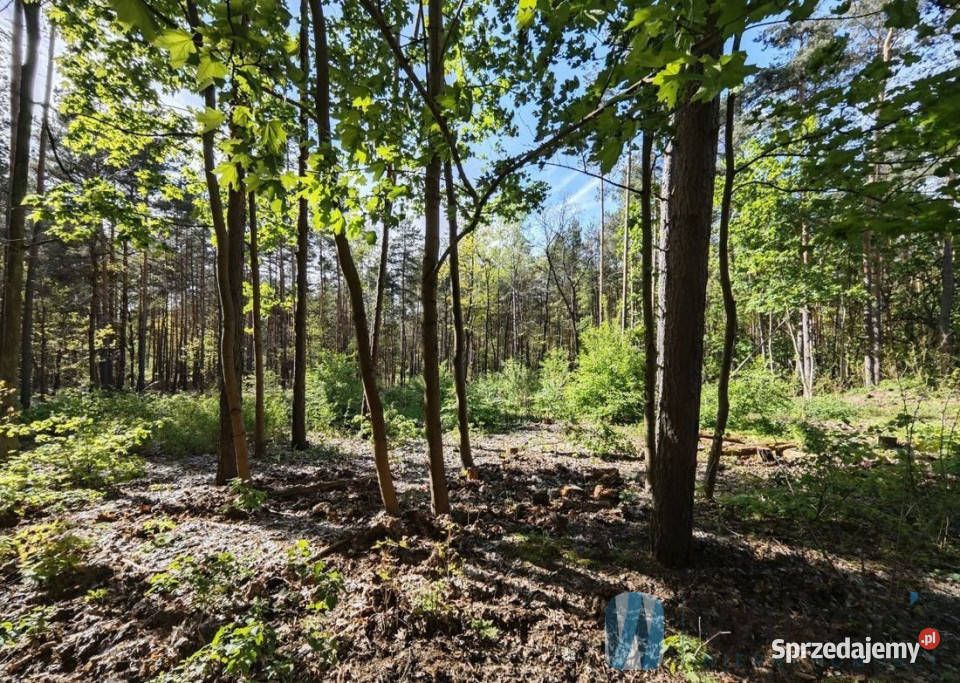 sprzedaży gruntu Warszawa 1656m2