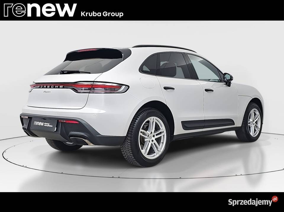 Macan