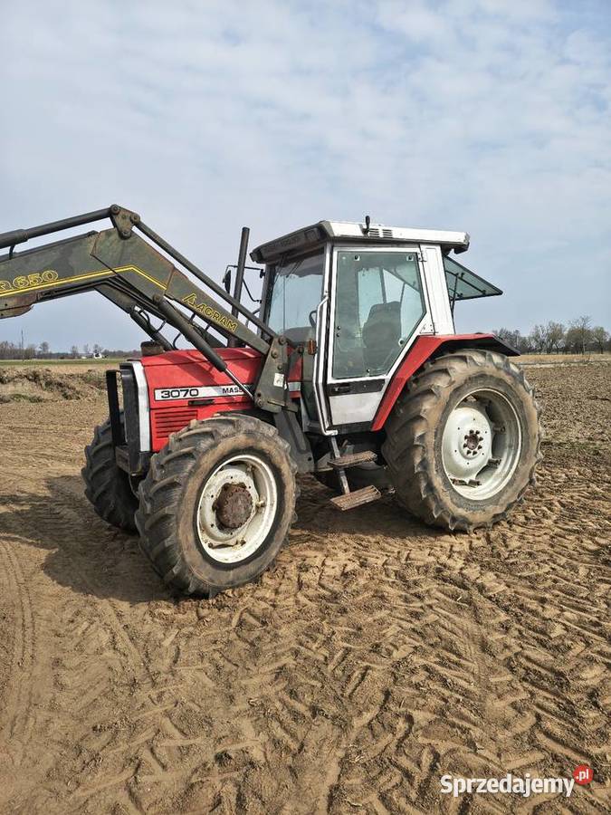 Massey Ferguson 3070 z turem