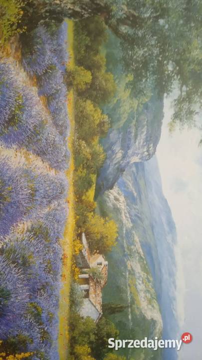 PROWANSALSKI PEJZAŻ Z LAWENDĄ obraz Obrazki i obrazy wielkopolskie