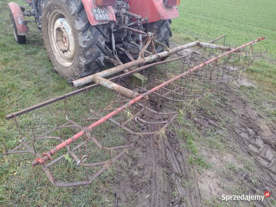 Kopaczka do ziemniaków sadzarka czeska Rolnictwo Śrem sprzedam