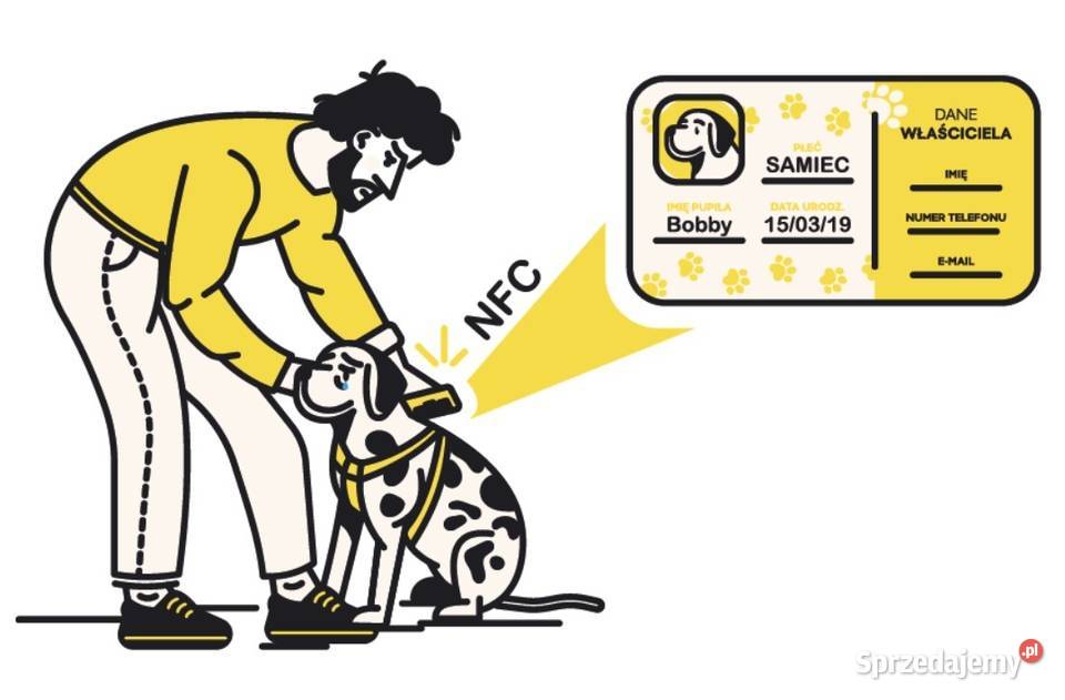 Psi Dowód WalkeDog Pomóż swojemu psu i kotu Jaworzno