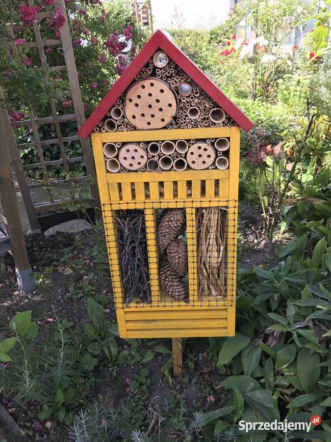 domek owadów 70 zachodniopomorskie Sławno