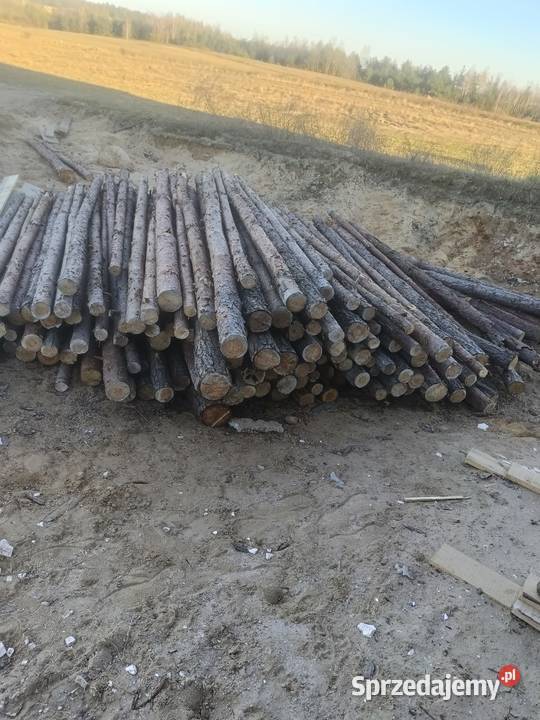 Stemple budowlane Promna