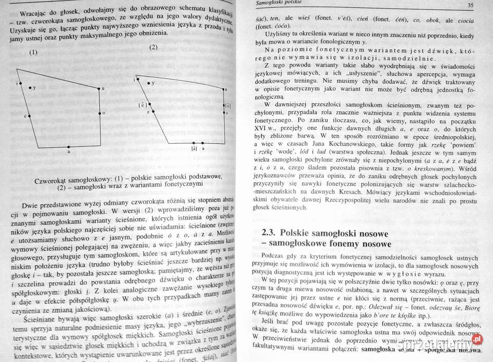 Zarys gramatyki polskiej Alicja Nagórko Rok wydania 1996 Chełm