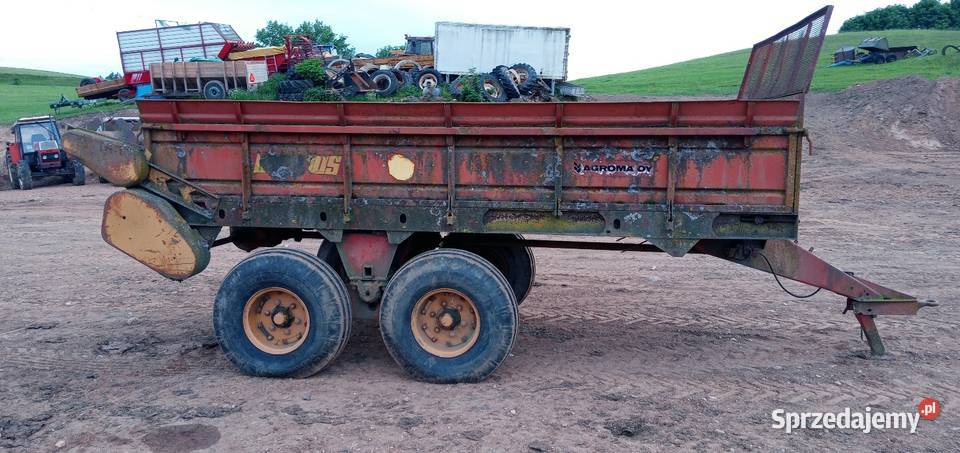 Belarus Tempo PTU7 Rozrzutnik Obornika 7000 Szołtany