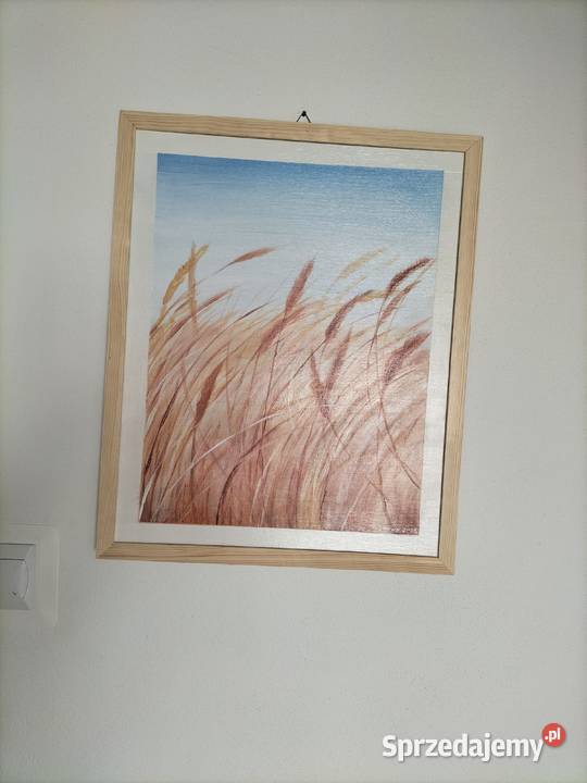 Zboża Lublin sprzedam